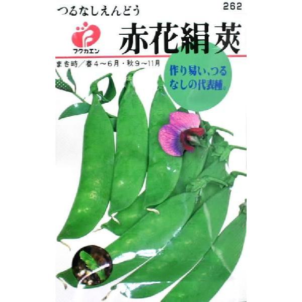 フクカエン つるなしえんどう 赤花絹莢の種タネ Seed Sp1005 よろずや倉庫 通販 Yahoo ショッピング