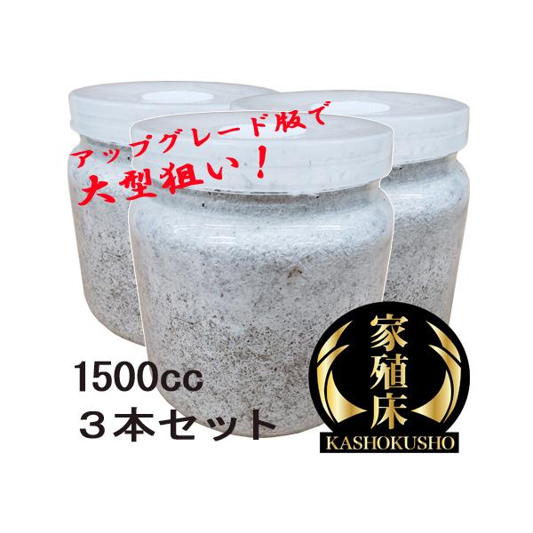 超安い ルカディア2300cc ×3本 カワラ菌糸ボトル - 虫類用品 - alrc.asia