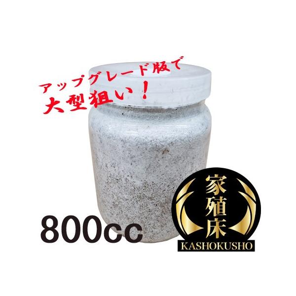 [Release date: August 19, 2022]・オオクワガタなどの幼虫の飼育に使います・羽化不全対策の栄養素を添加・動物性たんぱく質強化・2018年の実績：80mm超えの成虫続出・2019年の実績：30ｇオーバーの幼虫続出・...