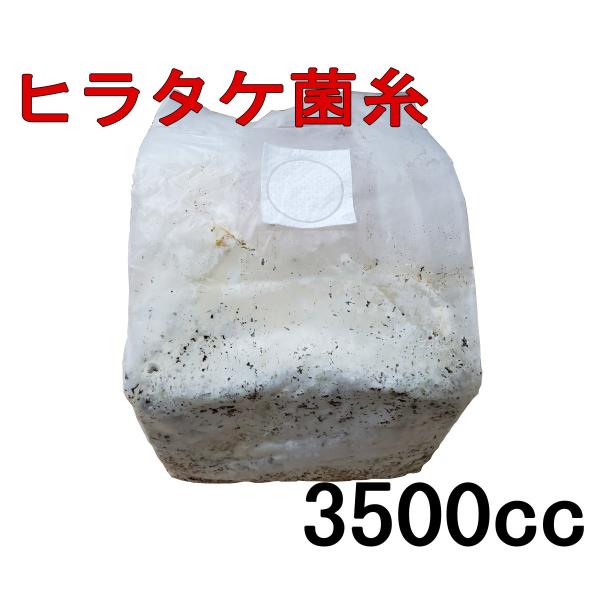 [Release date: May 25, 2023]仕上りとは：菌糸瓶の原料として、幼虫の育成として使用可能になった段階を指します。※植菌後、約２ヵ月となります■仕上りからの経過熟成：仕上がりから0〜2ヵ月程度目安：側面に被膜があまりで...