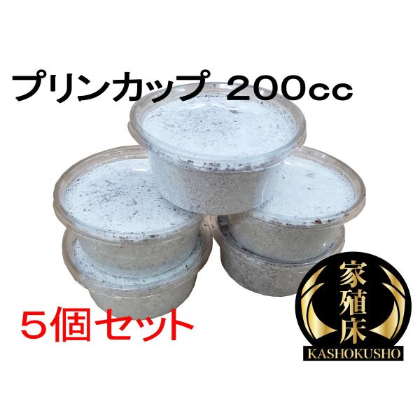 [Release date: August 19, 2022]・オオクワガタなどの幼虫の飼育に使います・羽化不全対策の栄養素を添加・動物性たんぱく質強化・2018年の実績：80mm超えの成虫続出・2019年の実績：30ｇオーバーの幼虫続出・...