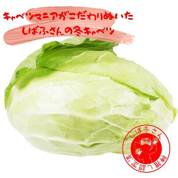 愛知県その他　1ｋ程度