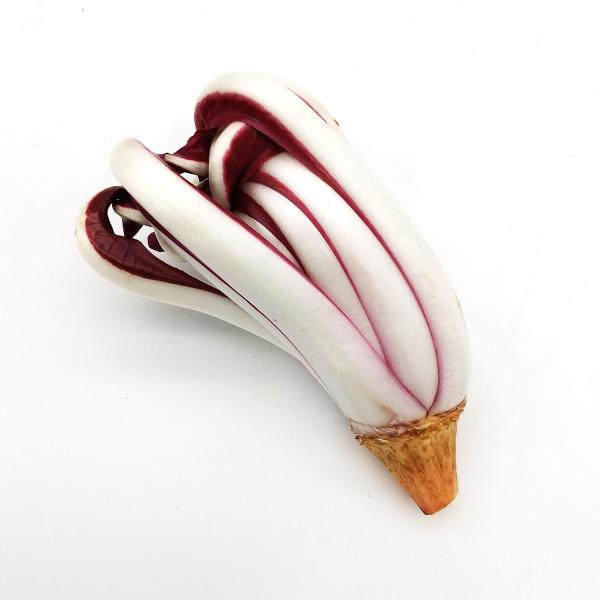 イタリア産 1個　12月〜3月くらいまで