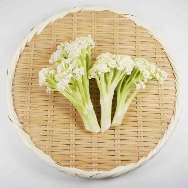 茨城県他 入荷不安定