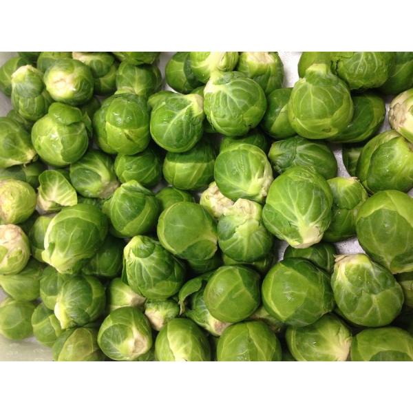 静岡県産他 約1ｋ 入荷時期（11月下旬〜3月中旬位）