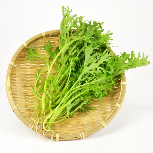 静岡県 1袋　50ｇ程度