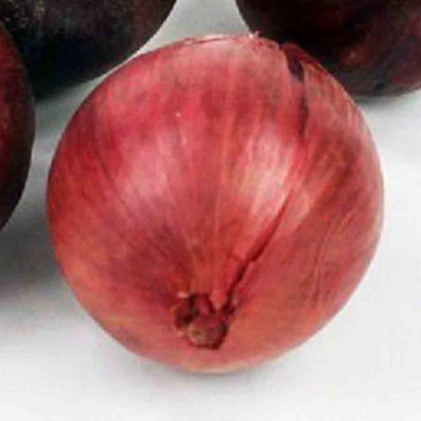 A[[bh i܂˂@Ԃ܂˂@ʔK@ԋʔKjPi