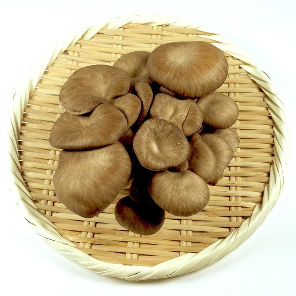 長野・福岡・新潟県産 1PC