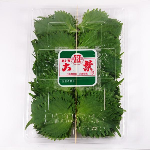 愛知県　1PC 10束入り