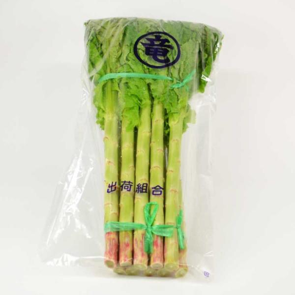 千葉県他 １０本 12月〜1月くらい