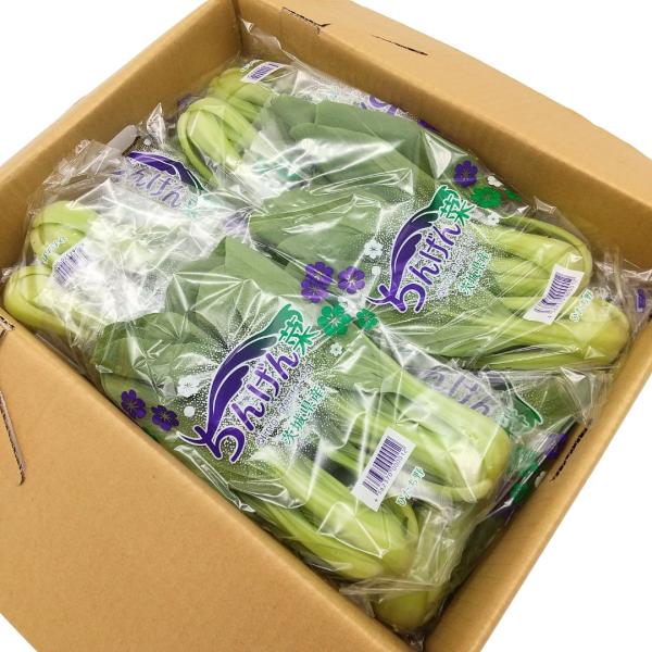 静岡、千葉、茨城他　通年 20個位入 品悪要問合せ