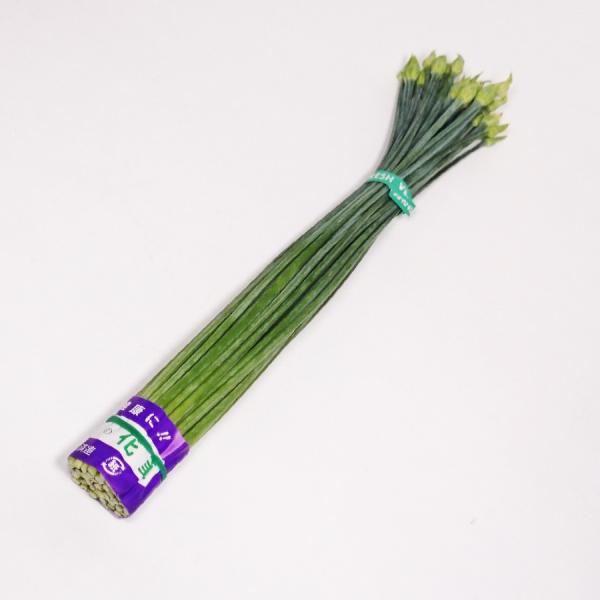 台湾、静岡県他 １束