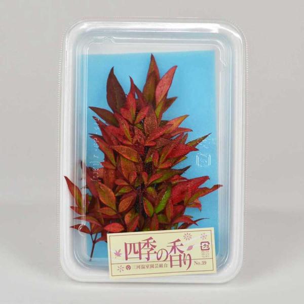 愛知県 徳島県 30g 11月〜2月位