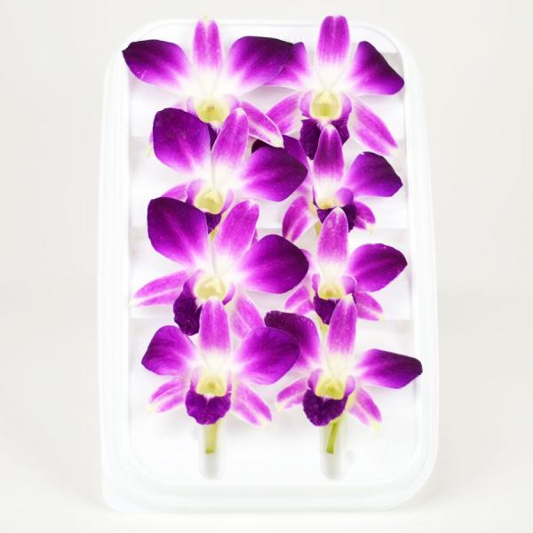 タイ 8輪　約30g