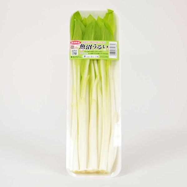 福島県 新潟県 他 100ｇ 12〜5月くらい 入荷不安定