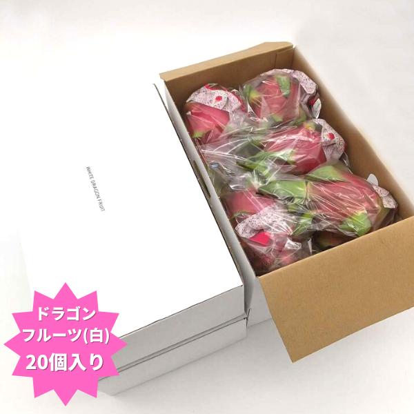 ドラゴンフルーツ(白) 箱売り(20玉入) : s888-17695-wh-cs : 夜の 