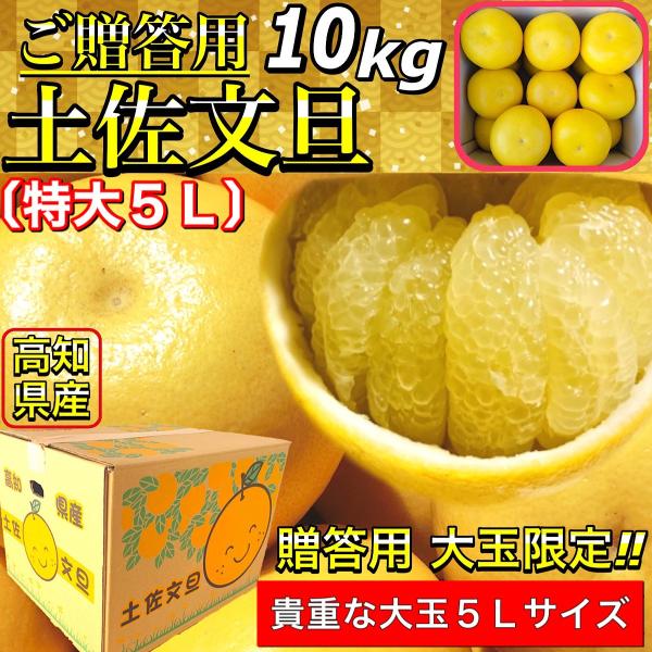 高知産　超大玉　露地土佐文旦 　５L 　１０Kg　１２玉入り前後入り　家庭用 文旦 土佐文旦 高知県産 特大 5L サイズ 約 10kg ご家庭用 ぶんたん