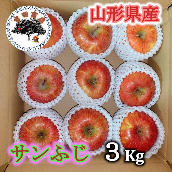 りんご 山形県産 訳あり サンふじ 3kg (9玉〜12玉入り) 産地卸売市場