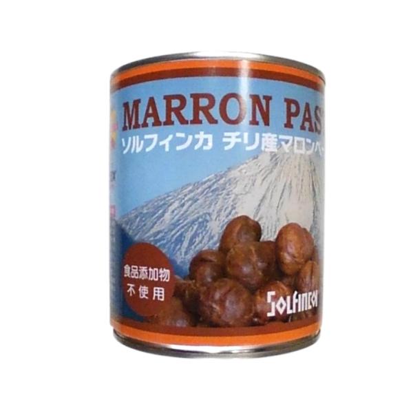 食品添加物不使用、チリ産の栗と砂糖のみで炊き上げ、栗の風味をそのまま活かしたマロンペーストです。発売から10年以上、その安定した品質が支持されるロングセラー商品です。糖度：60度　水分：6%品名：マロンペースト原材料名：栗、砂糖内容送量：1...