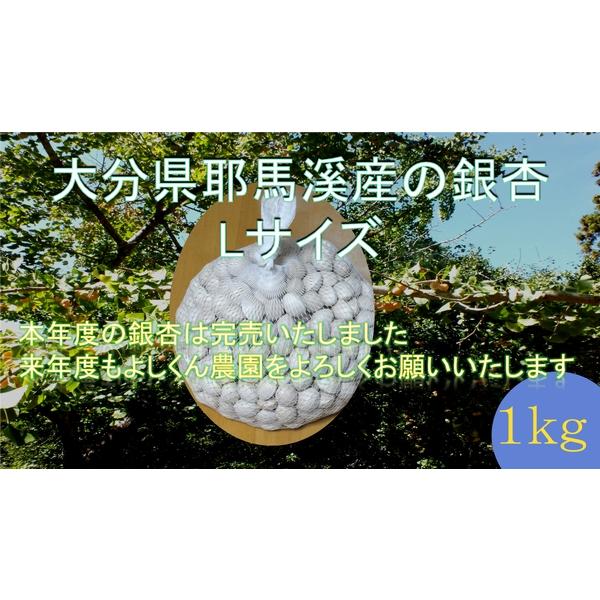 ぎんなんギンナン銀杏Ｌ(ＬＬサイズ相当品）（大分県耶馬溪産）1kg :gin-l1kg:よしくん農園 - 通販 - Yahoo!ショッピング