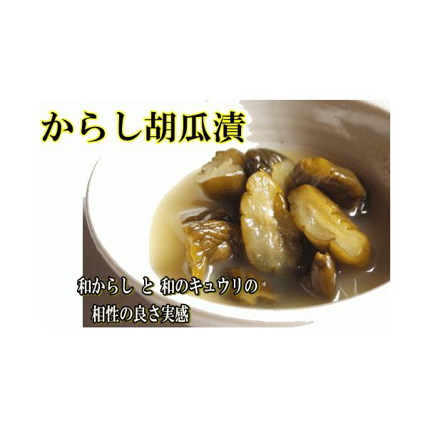 からしきゅうり漬100g