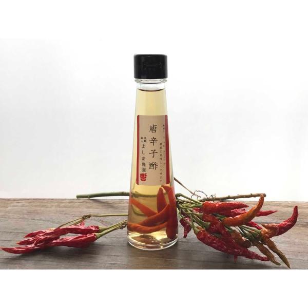 自然栽培唐辛子酢120?