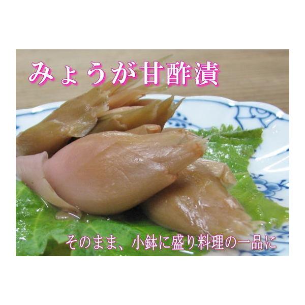 みょうが甘酢漬け70ｇ
