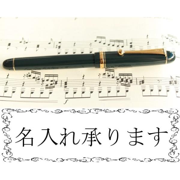 PILOT NM JX^74 CUSTOM74 _[NO[ FKKN-12SR-DG  yFesEFEFEMEBt