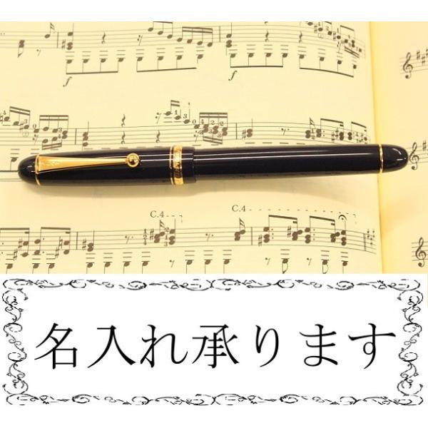 PILOT NM JX^74 CUSTOM74 _[Nu[ FKKN-12SR-DL  yFesEFEFEMEBt