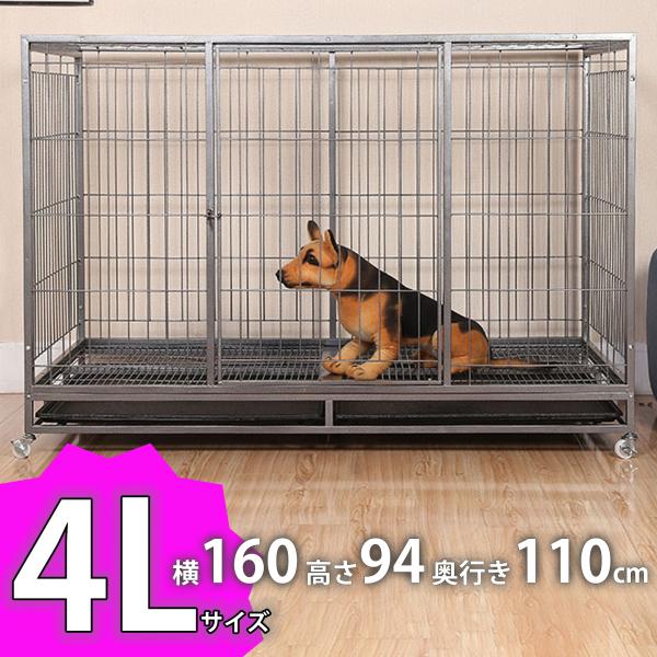 yoshiokadenko_extra-large-pet- yoshiokadenko_extra-large-pet-