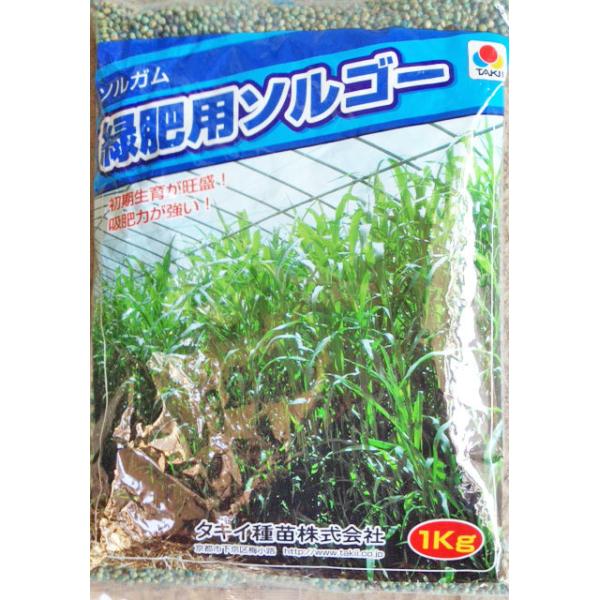 注)店舗在庫キレ、メーカー在庫キレ等によりご注文を キャンセルまた多少お時間頂く場合がございますので誠に恐れ入りますが、あらかじめご了承頂きますようよろしくお願い致します。注）まき時期をご確認の上、ご注文をお願い致します。特徴細茎で分けつが...