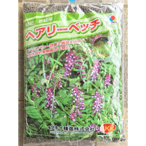 注）こちらの商品は緑肥の種子です。まき時期をご確認の上、ご注文をお願い致します。注)流動在庫につき在庫キレ、新種生産待ち等により、キャンセルまたは納品に多少お時間頂く場合がございますので、予めご了承頂きますようお願い致します。また現状の在庫...
