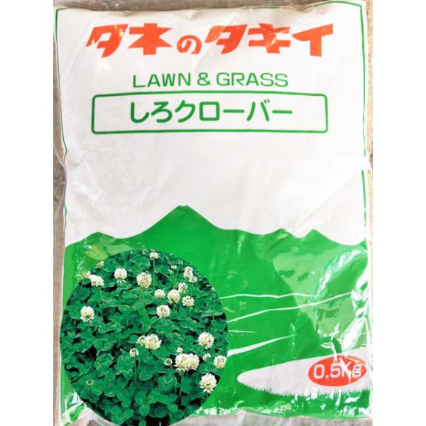 注）こちらの商品は緑肥の種子です。まき時期をご確認の上、ご注文をお願い致します。特徴グランドカバーに適した宿根草の種で土壌の雑草侵食防止に役立ち、景観用にも優れています。また牧草としても利用されます。草丈が低く、日陰地以外なら土壌を選ばず生...