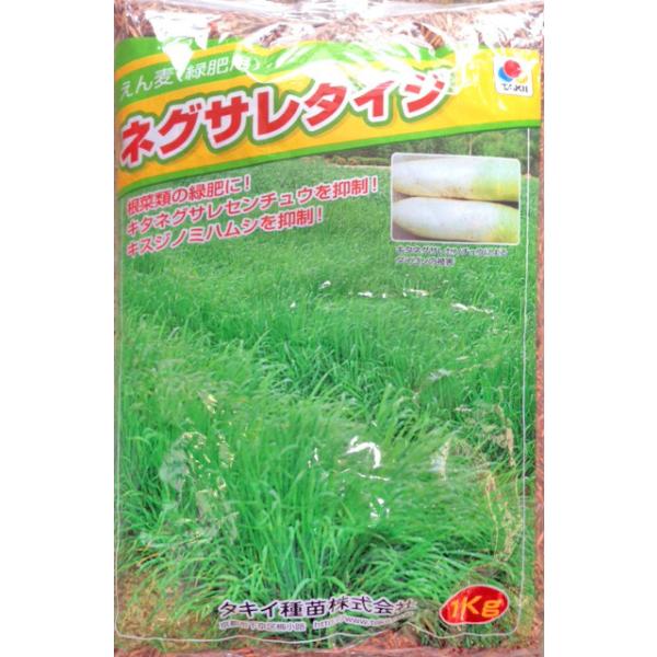 注)店舗在庫キレ、メーカー在庫キレ等によりご注文を キャンセルまた多少お時間頂く場合がございますので誠に恐れ入りますが、あらかじめご了承頂きますようよろしくお願い致します。注）まき時期をご確認の上、ご注文をお願い致します。特徴特性 ダイコン...