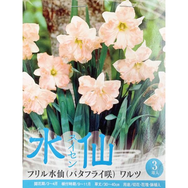 yoshitaninougei_00136