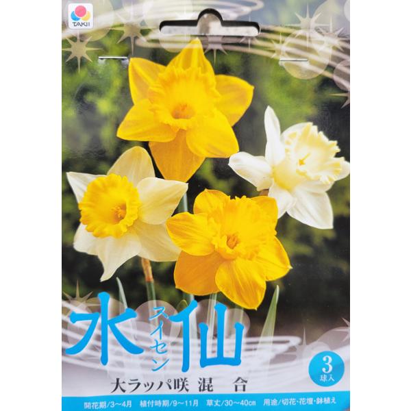 水仙 球根 大ラッパ咲 混合 3球入り : 吉谷農芸Yahoo!店 - 通販