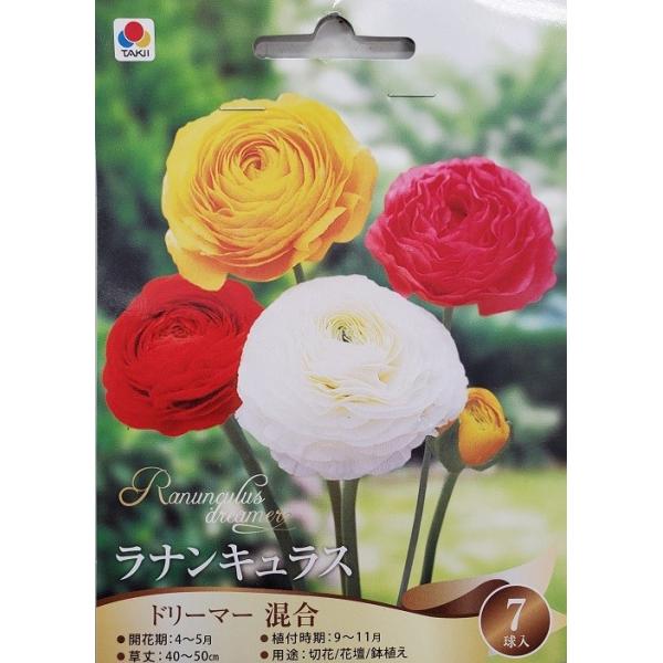 ラナンキュラス　ドリーマー混合　7球本球根は丈夫な品種でどんな処でもよく生育し、花壇　鉢植え、切り花にてきした。優良品種です！ ボリュームたっぷりの花容で豪華。人気品種のお買得な花色おまかせミックス。キンポウゲ科育て方　植え時　9月末〜12...