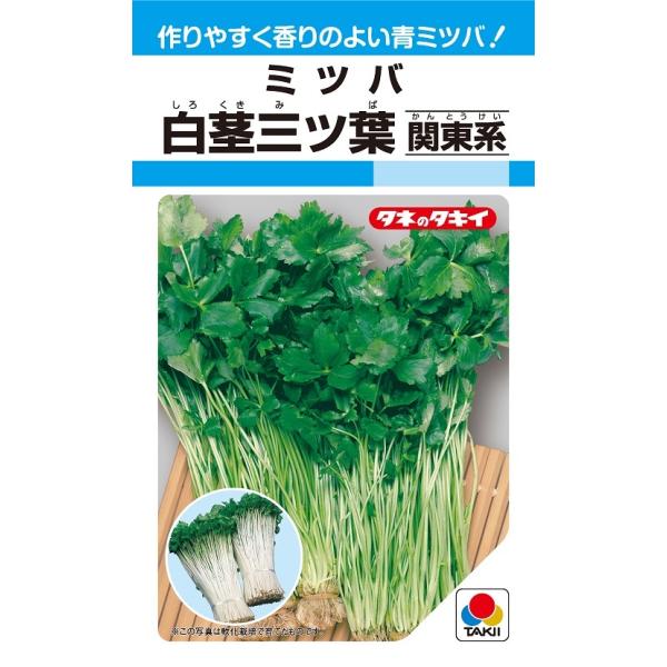 注）こちらの商品は野菜の種子です。注)メーカー在庫キレ、新種待ち等によりご注文を キャンセルまた多少お時間頂く場合がございますので誠に恐れ入りますが、あらかじめご了承頂きますようよろしくお願い致します。注）まき時期をご確認の上、ご注文をお願...