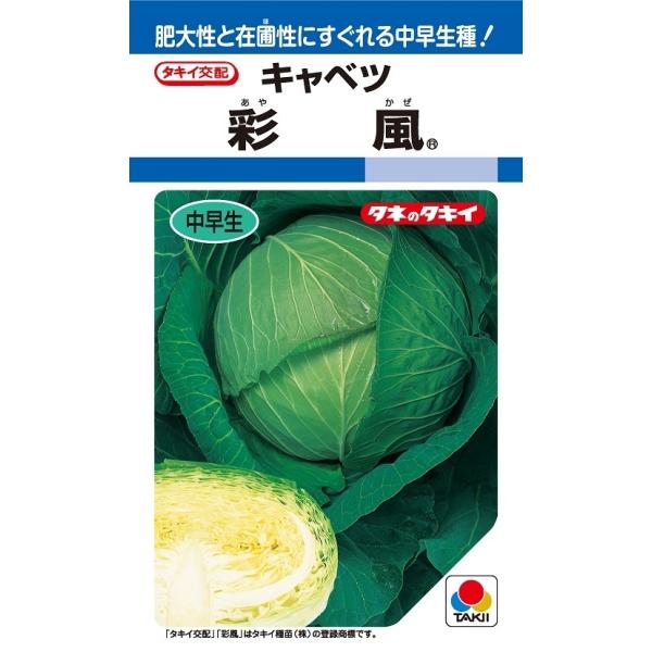 彩風 中早生種キャベツ種子の育て方と魅力