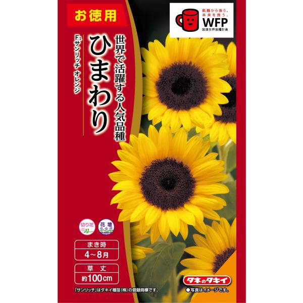 お徳用　切花向 ひまわり F1 サンリッチオレンジ 小袋 [FHM602]【花の種】【タキイのタネ】【ガーデニング】