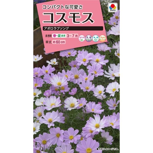 花種 小袋 NL300 コスモス アポロラブソング 小袋 [FCS238]【花の種