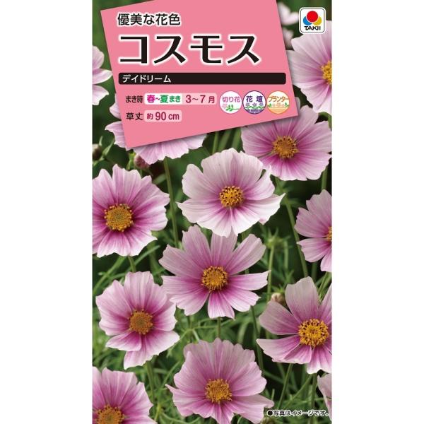 花種 NL300 コスモス デイ ドリーム 小袋 [FCS150]【花の種】【タキイ