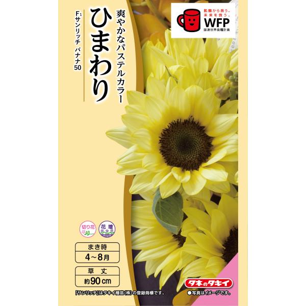花種 NL300 ひまわり F1 サンリッチ バナナ50 小袋 [FHM456]【花の種