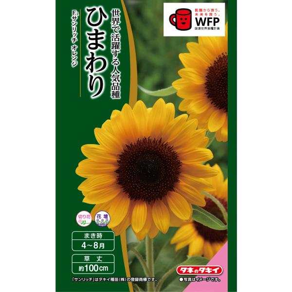 yoshitaninougei_2066 yoshitaninougei_2066