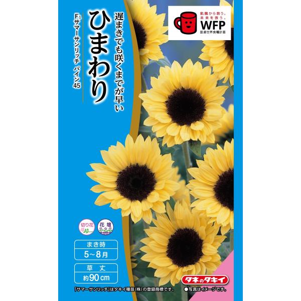 ひまわりページ ひまわり・F1サマーサンリッチ オレンジ45| 種・苗・ガーデニング用品