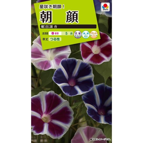 花種　 NL200 朝顔 曜白混合 小袋 [FAA330]【花の種】【タキイのタネ】【ガーデニング】