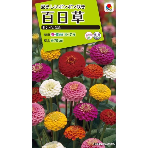 花種 NL200 百日草 サンボウ混合 小袋 [FZN329]【花の種】【タキイの