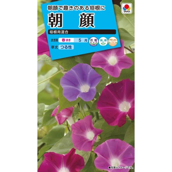 花種　NL150 朝顔 垣根用混合 小袋 [FAA130]【花の種】【タキイのタネ】【ガーデニング】