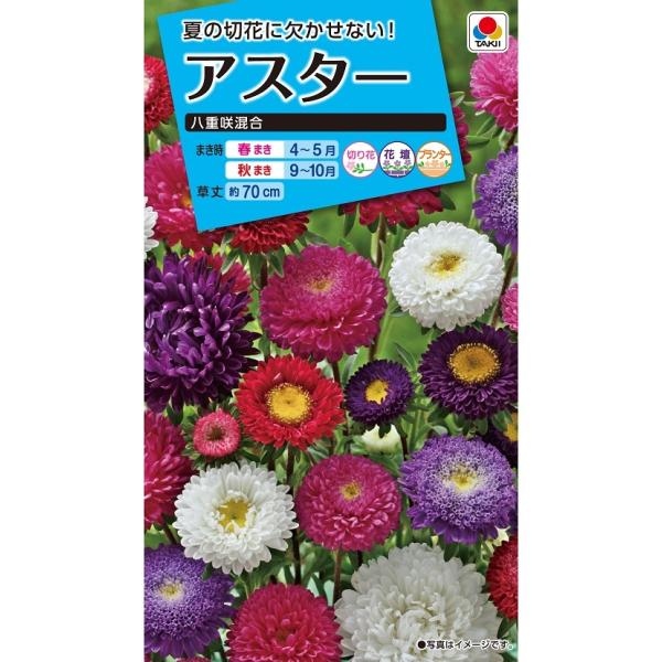 花種　NL150 アスター 八重咲混合 小袋 [FAS051]【花の種】【タキイのタネ】【ガーデニング】