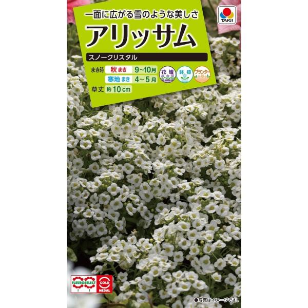 花種　NL200 アリッサム スノークリスタル 小袋 [FAR121]【タキイのタネ】【ガーデニング】
